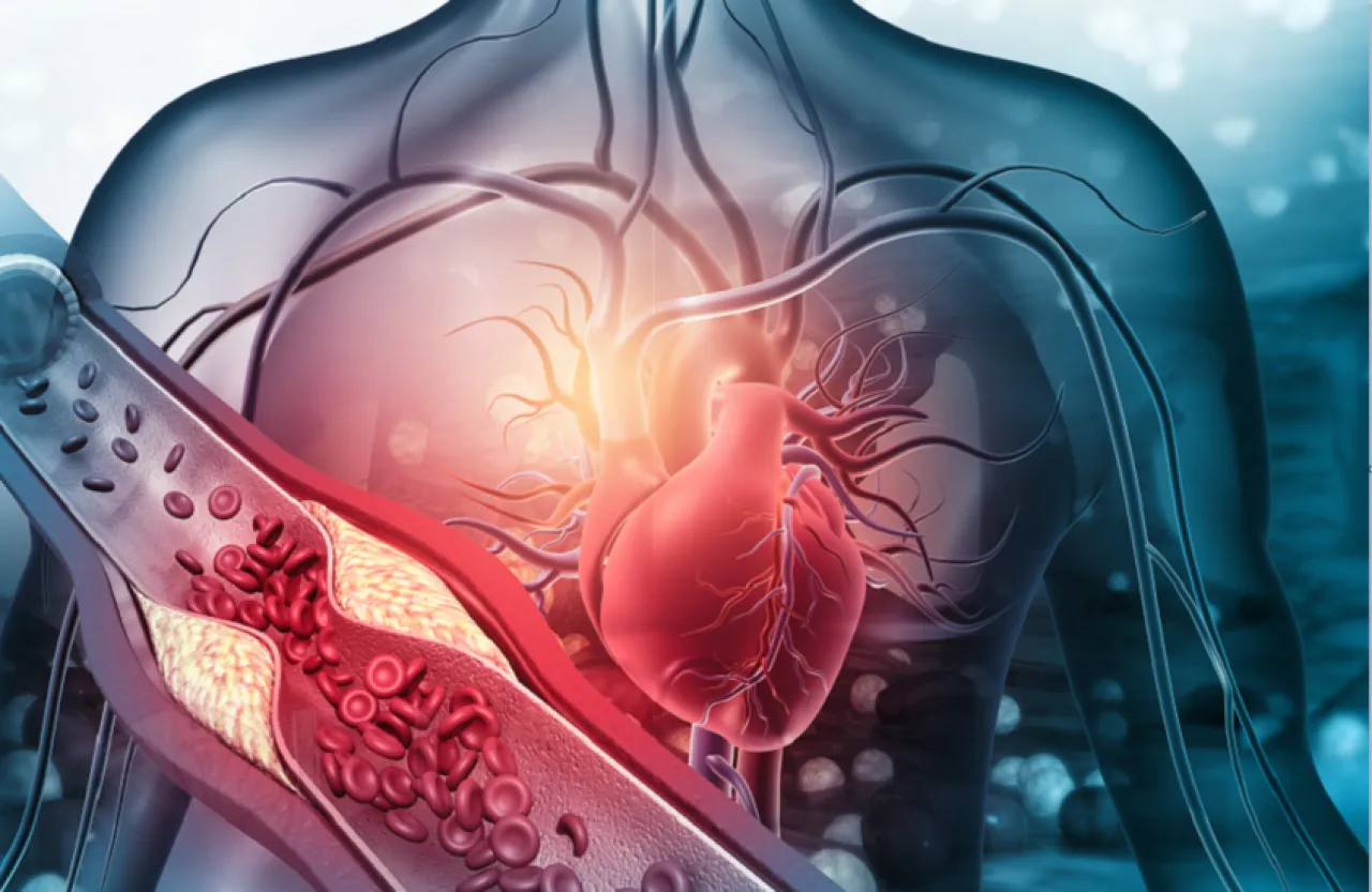 سر غذائي بسيط لحماية القلب مع التقدم في العمر