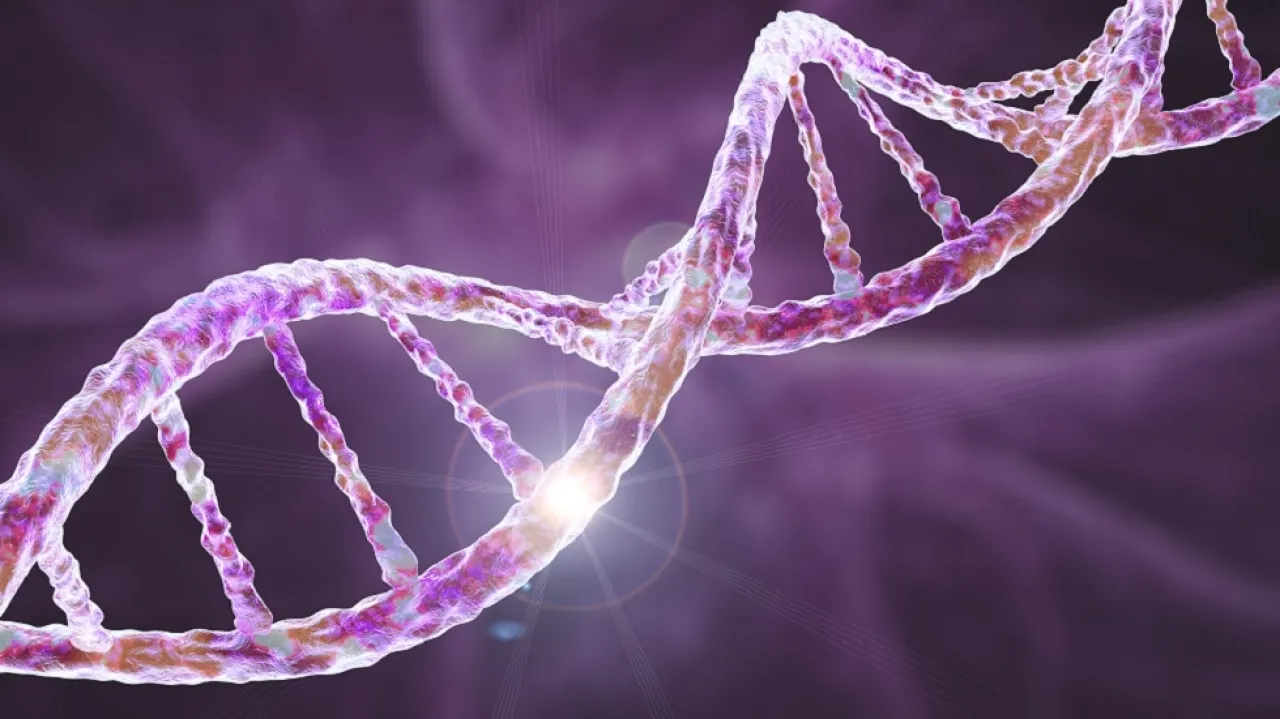 دور الحمض النووي في تحديد عمرك.. دراسة جديدة تُفجر مفاجأة