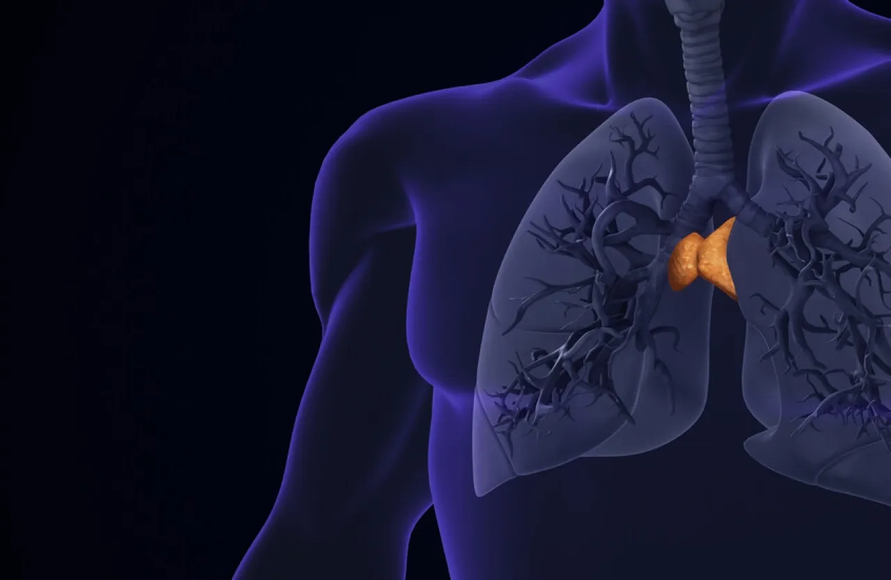 غدة منسية في جسدك قد تكون مفتاح فهم السرطان والشيخوخة والأمراض