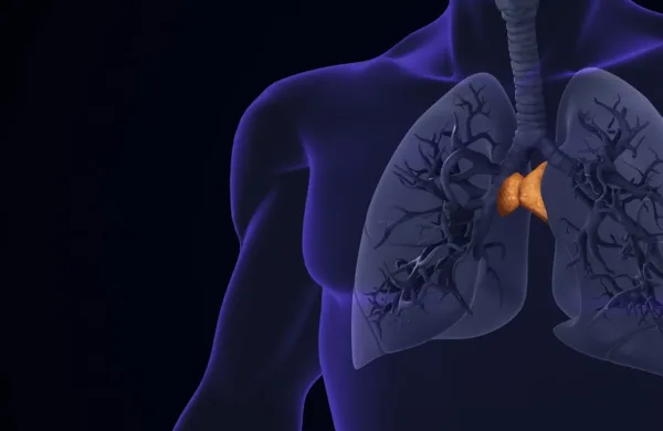 غدة منسية في جسدك قد تكون مفتاح فهم السرطان والشيخوخة والأمراض