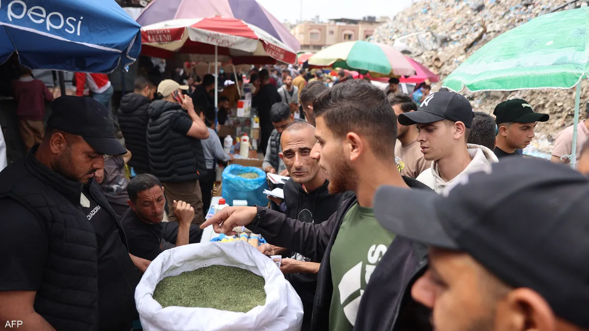 الملوخية بديل التدخين في غزة: رحلة من الطعام إلى عادة اضطرارية جديدة