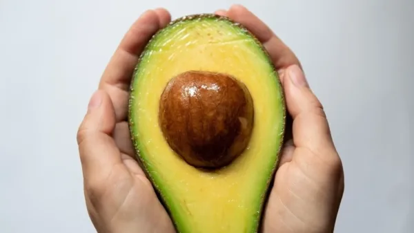 هل تعرف فوائد الأفوكادو والمانجو لصحة القلب والأوعية الدموية؟