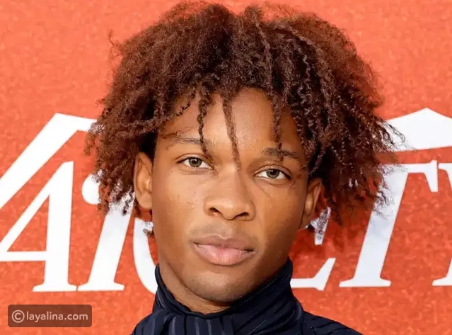 آخر تطورات قضية D4vd: اتهامات ومشاكل قانونية في لوس أنجلوس