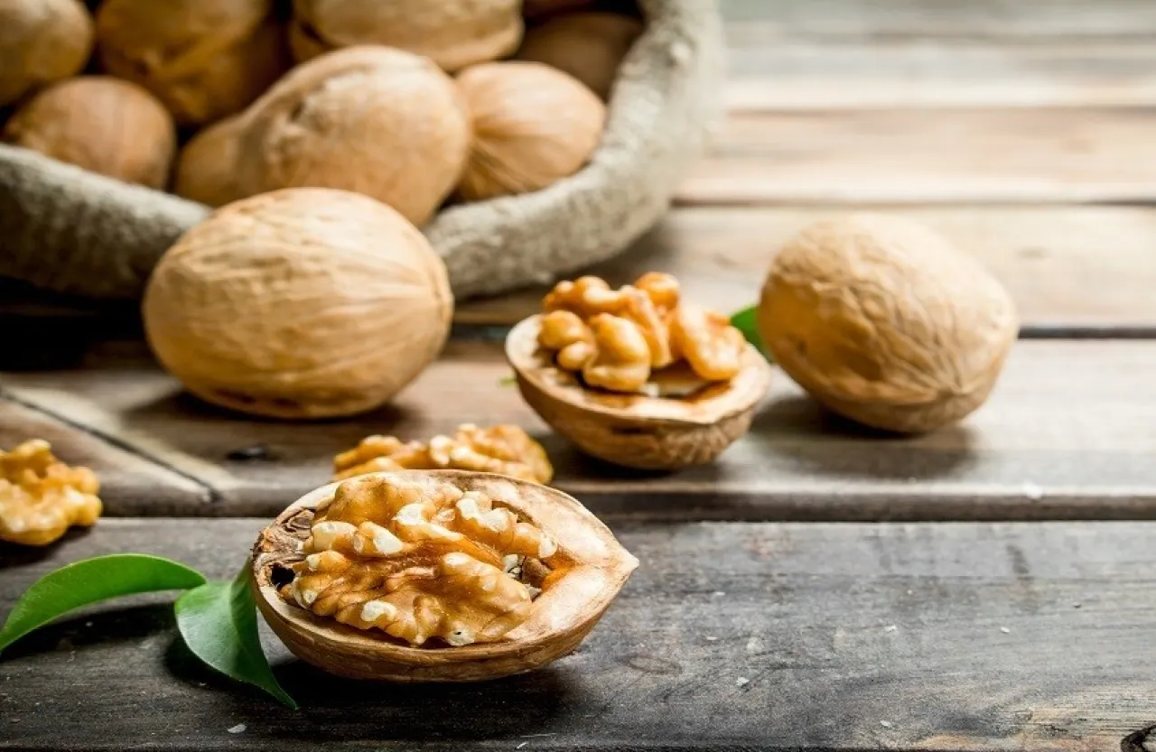 فوائد مذهلة للجوز.. وجبة صغيرة بقيمة صحية كبيرة