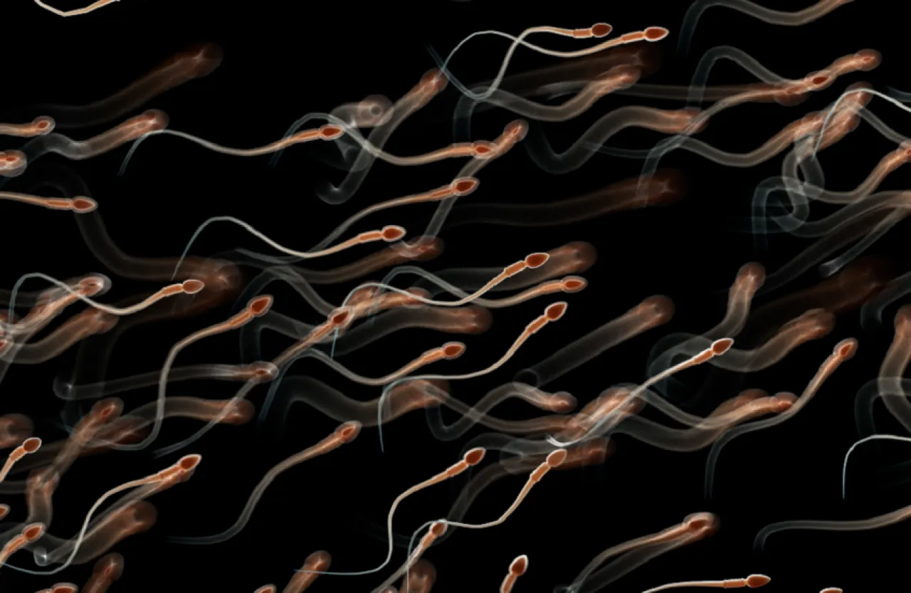 أولمبياد الحيوانات المنوية.. حدث أمريكي غريب يثير الجدل حول خصوبة الرجال