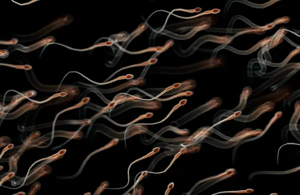 أولمبياد الحيوانات المنوية.. حدث أمريكي غريب يثير الجدل حول خصوبة الرجال