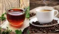 الشاي والقهوة يُقللان امتصاص المكملات.. طبيب يوضح السبب
