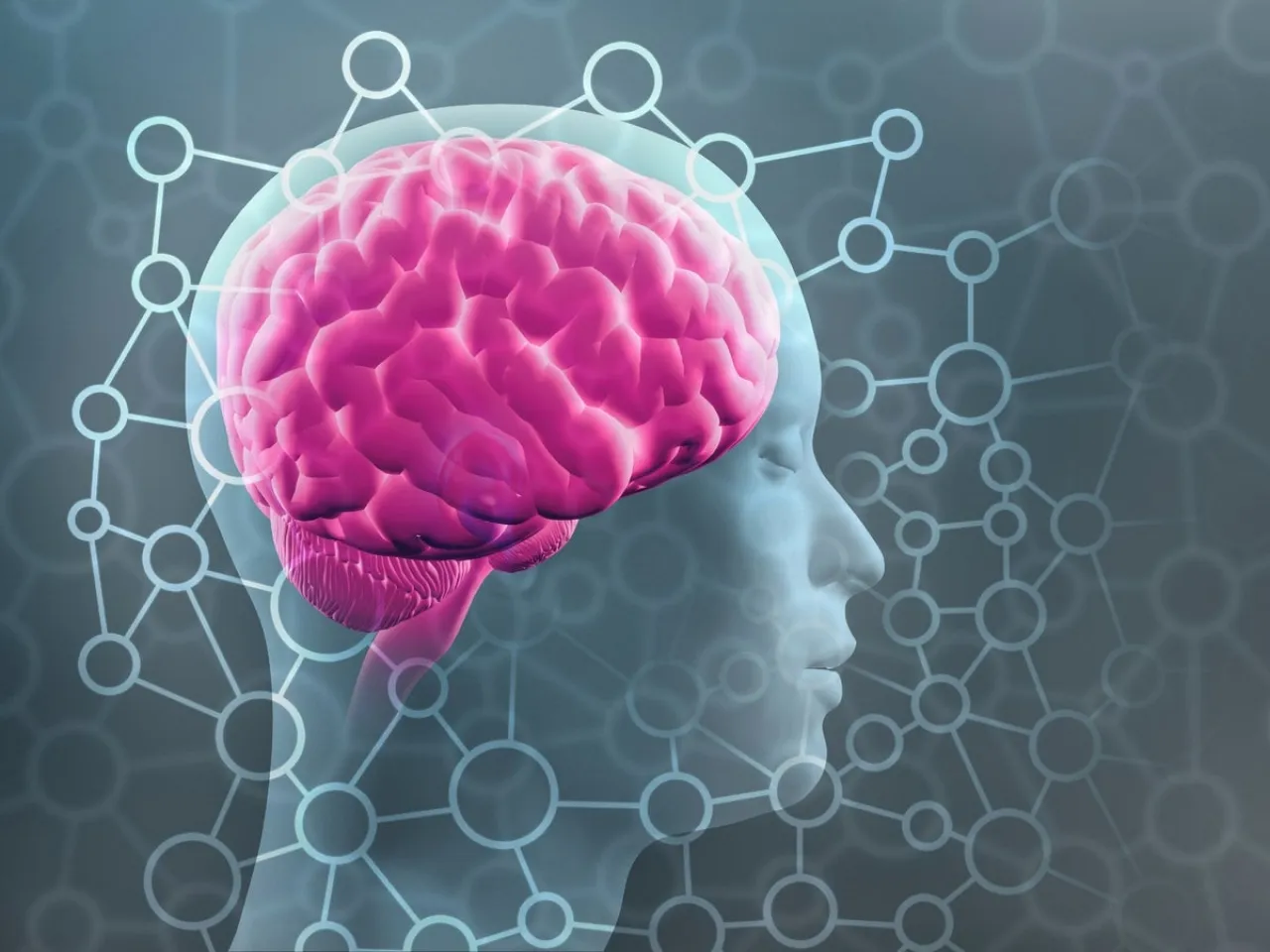 هل يمكن أن يمتلئ دماغك يوما كما تمتلئ ذاكرة الهاتف؟