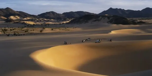 مأساة في صحراء النيجر.. وفاة 49 مهاجرًا عطشًا بين الجزائر ومالي