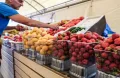 هل يمكن معرفة محتوى النترات من شكل الثمار؟