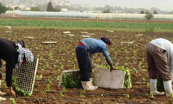 الأردن.. ترحيل 900 عامل مخالف منذ مطلع العام