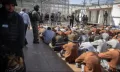تقرير أممي صادم: إسرائيل ارتكبت إبادة جماعية بحق أطفال فلسطين