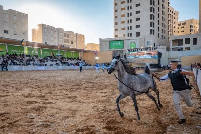 مدينة روابي تشهد انطلاق أضخم بطولات جمال الخيل العربية في فلسطين