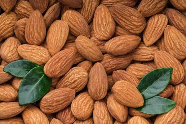 الكمية المثالية من اللوز يوميًا.. فوائد تتجاوز صحة القلب