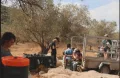 مستوطنون يسرقون ثمار الزيتون من أراضي المغير شمال شرق رام الله