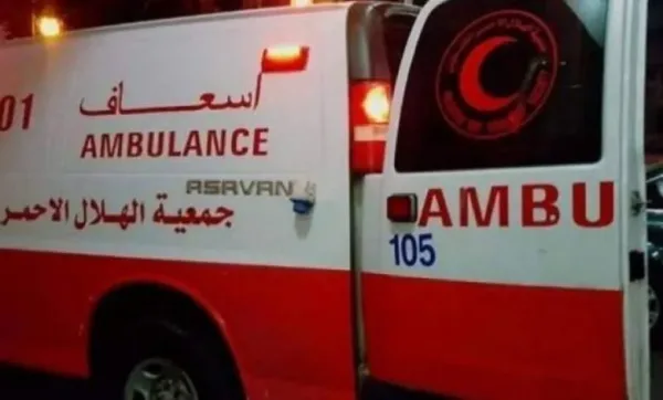 نابلس: إصابة 5 مواطنات بالاختناق بينهن مسنة أثناء قطفهن الزيتون