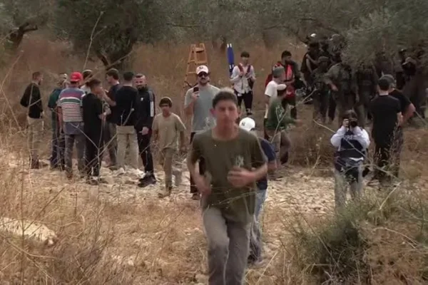 "الجدار والاستيطان": 21 اعتداء للاحتلال والمستوطنين بحق المزارعين وأراضيهم خلال 12 ساعة