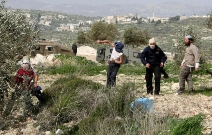 مستوطنون يعتدون على مواطنين ويحرقون منزلا ومركبة ويمنعون قطف الزيتون في الخليل