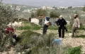 مستوطنون يعتدون على مواطنين ويحرقون منزلا ومركبة ويمنعون قطف الزيتون في الخليل