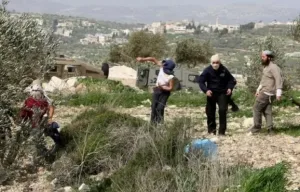 مستوطنون يعتدون على مواطنين ويحرقون منزلا ومركبة ويمنعون قطف الزيتون في الخليل