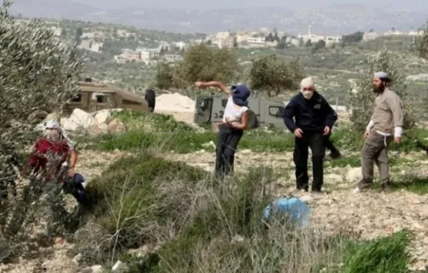 مستوطنون يعتدون على مواطنين ويحرقون منزلا ومركبة ويمنعون قطف الزيتون في الخليل
