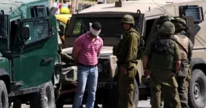 الاحتلال يعتقل 4 مواطنين أثناء قطفهم الزيتون في كفر قدوم شرق قلقيلية
