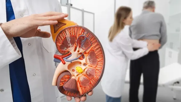 هل يكفي شرب الماء لمنع حصى الكلى؟.. تجربة كبيرة تكشف مفاجأة