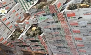 ضبط 2 طن ونصف من فاكهة الأناناس غير الصالحة للاستهلاك في نابلس