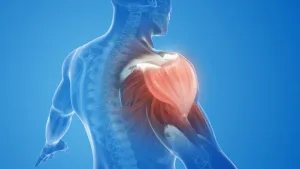 اكتشاف مفاجئ.. عضلاتك لا تستسلم للشيخوخة