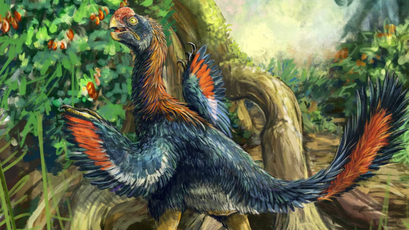 "دجاجة الجحيم" تكشف سرًا عمره 66 مليون سنة